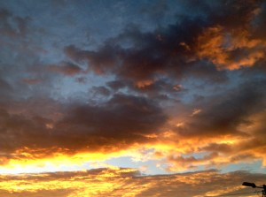 #12 MEDIDAS DE INSEGURIDAD 1.0