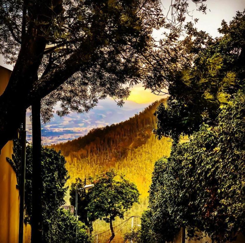 WhatsApp Image 2018-10-28 at 20.43.22