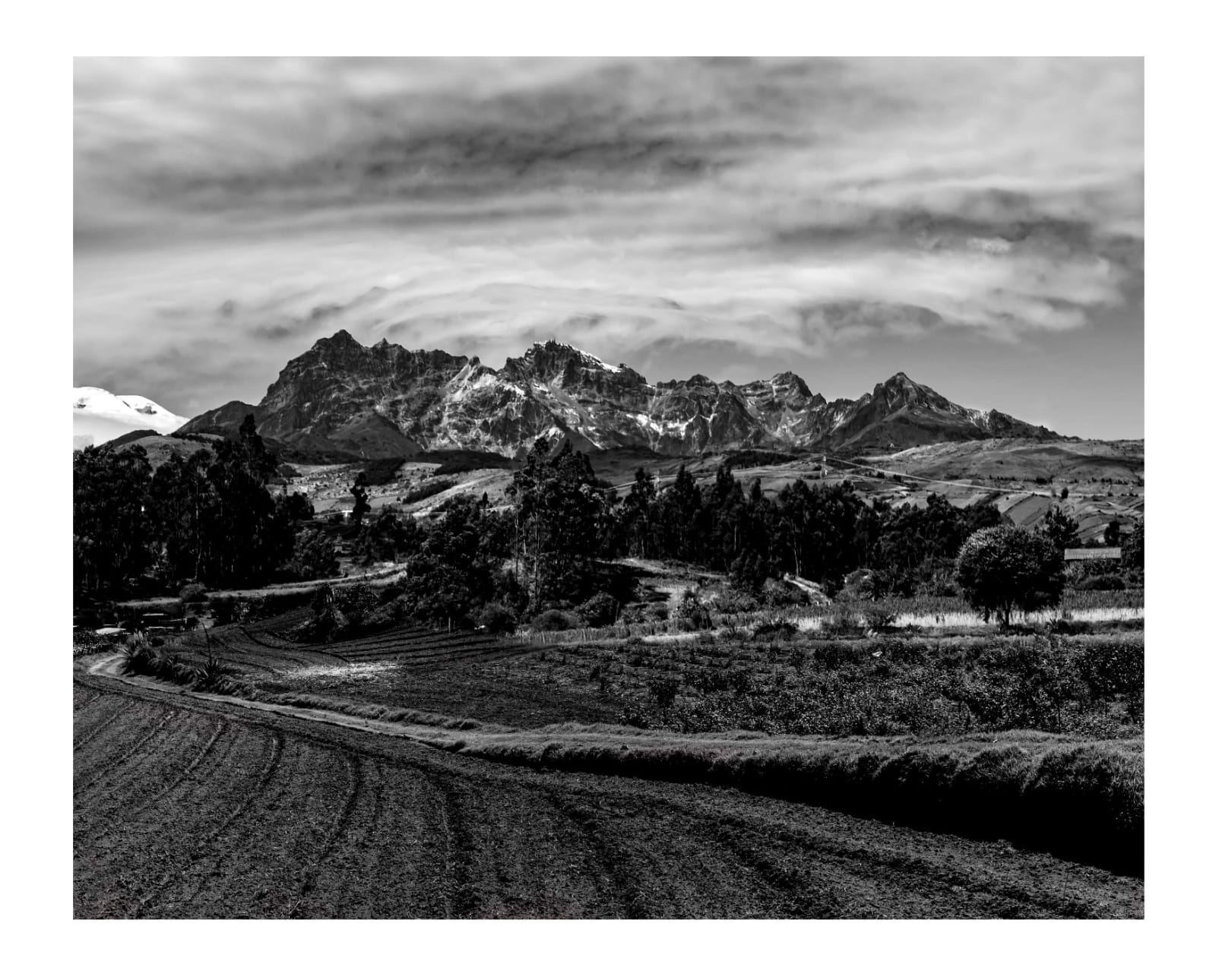 WhatsApp Image 2020-03-20 at 15.43.28